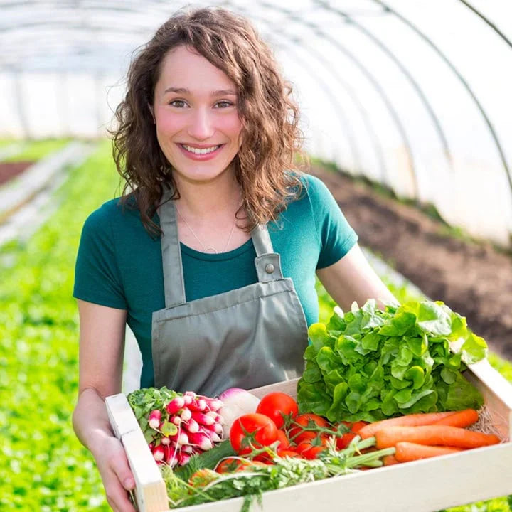 Soil Pro Activator (Buy 1 Get 1 Free)