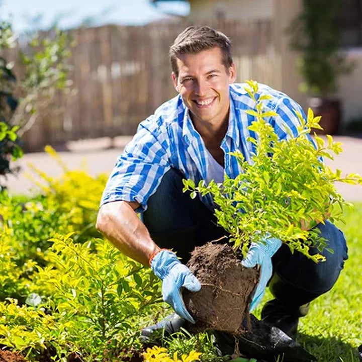 Soil Pro Activator (Buy 1 Get 1 Free)